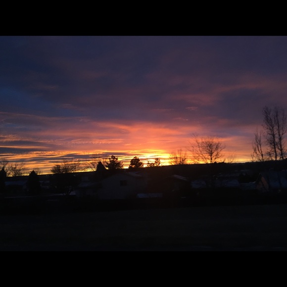 Meet your Posher, Kaira - Picture 1 of 1